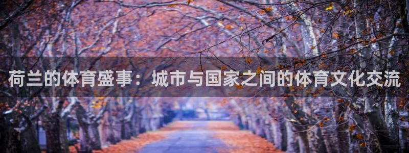 球速体育