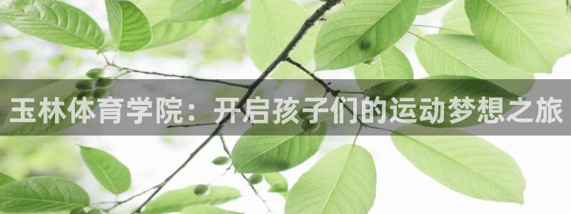 球速体育