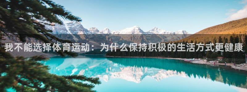 球速体育