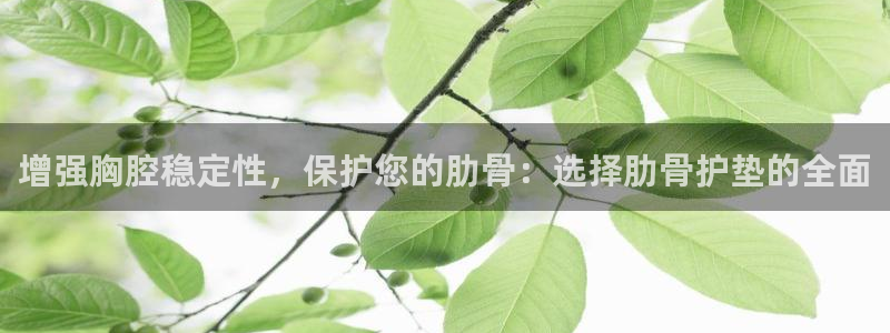 球速体育