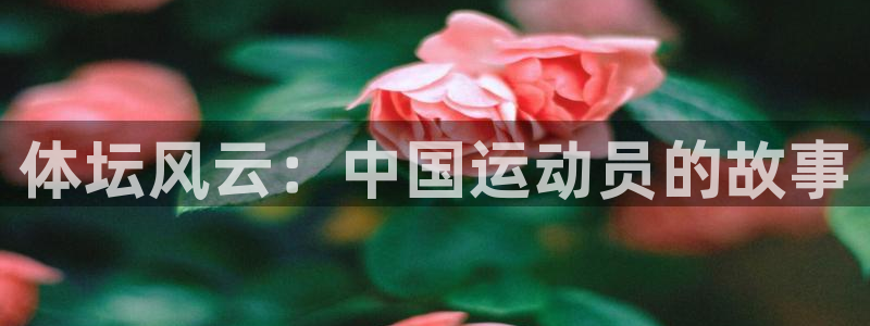 球速体育