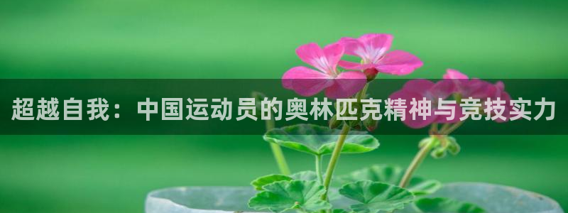 球速体育