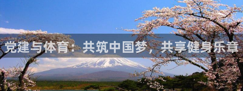 球速体育