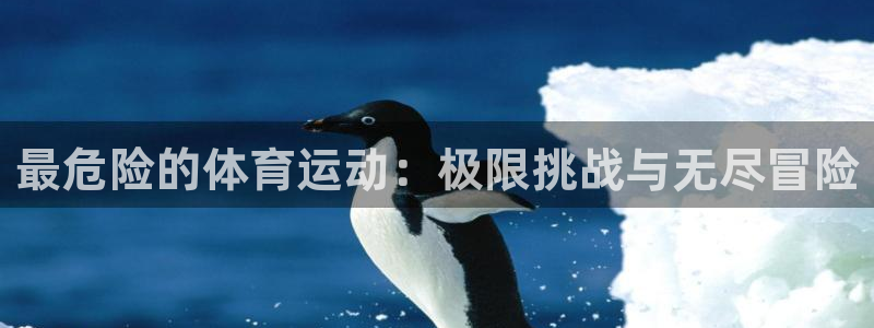 球速体育