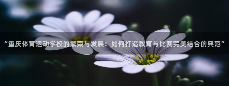 球速体育