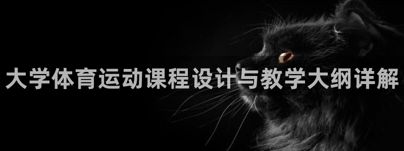 球速体育
