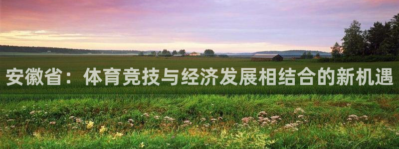 球速体育